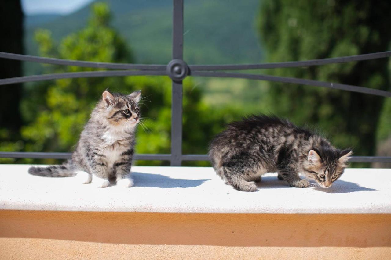Borgo Incantato Spoleto Pompagnano Екстер'єр фото